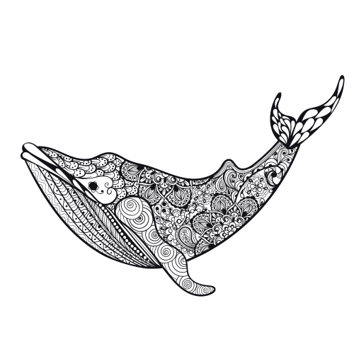 Orca Coloring Pages