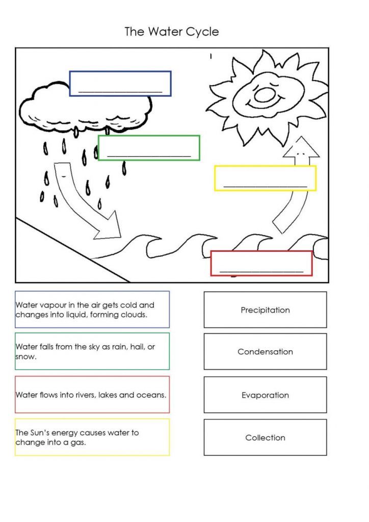 Water Cycle Worksheet Pdf