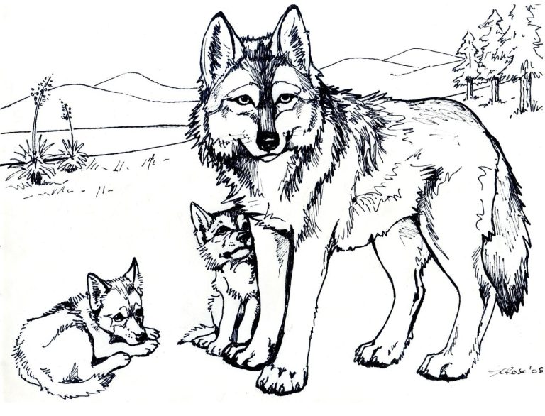 Wolf Pictures To Color