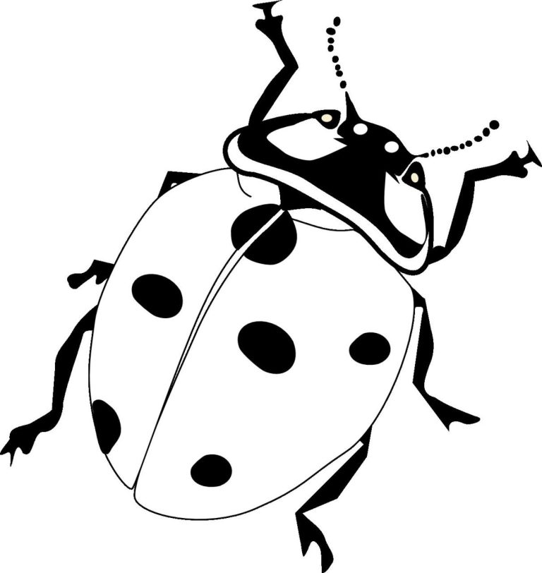 Ladybug Coloring Page