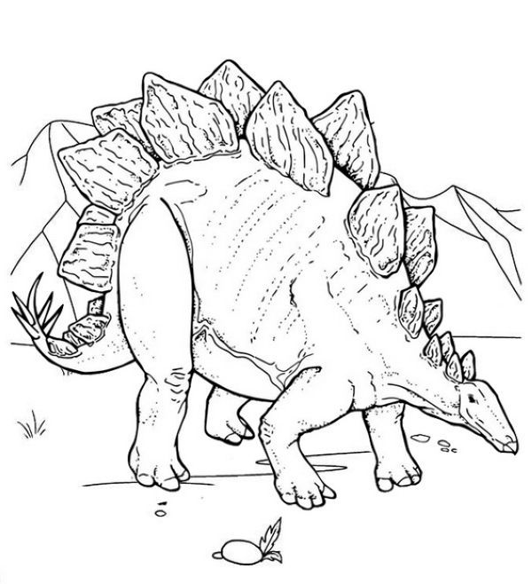 Stegosaurus Coloring Page