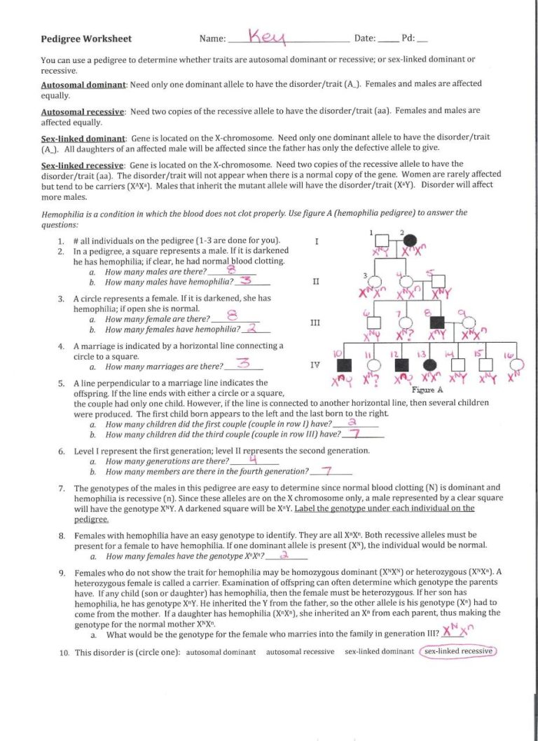 Pedigree Worksheet