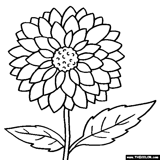 Free Flower Coloring Pages