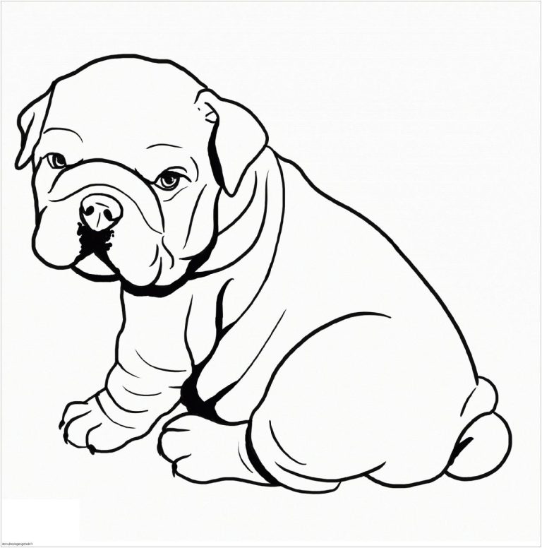 Bulldog Coloring Pages