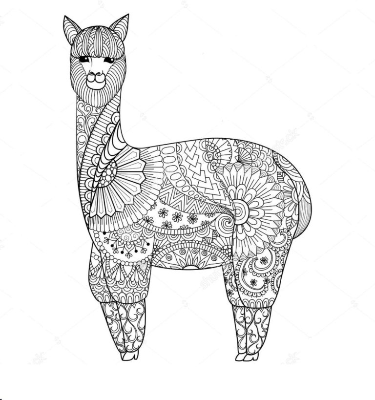 Llama Coloring Page