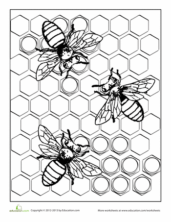 Bee Coloring Pages