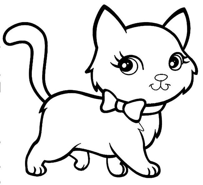 Cat For Coloring