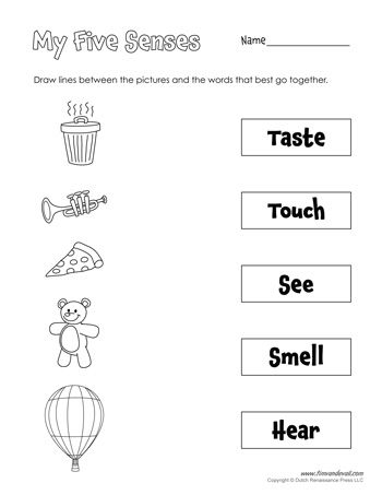 Five Senses Worksheets