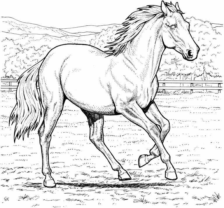 Realistic Horse Coloring Pages