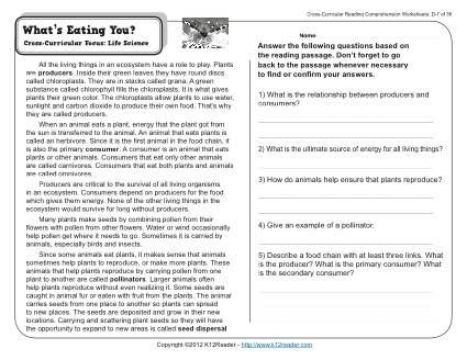 Grade 7 Reading Comprehension Worksheets Pdf