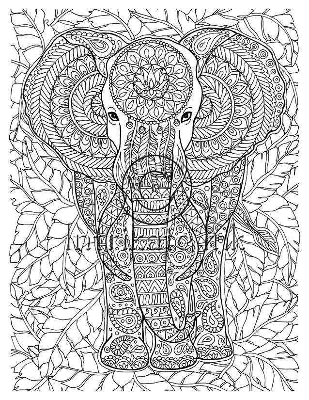 Intricate Coloring Pages