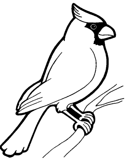 Cardinal Coloring Page