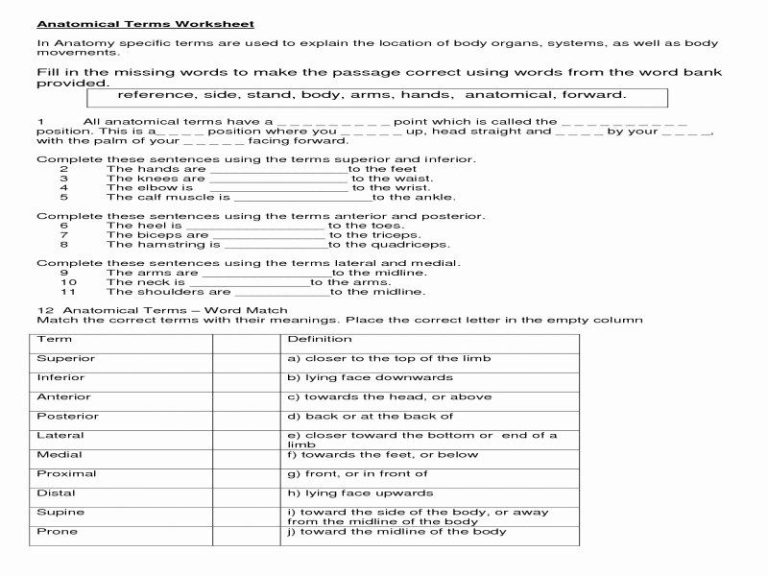 Dilutions Worksheet