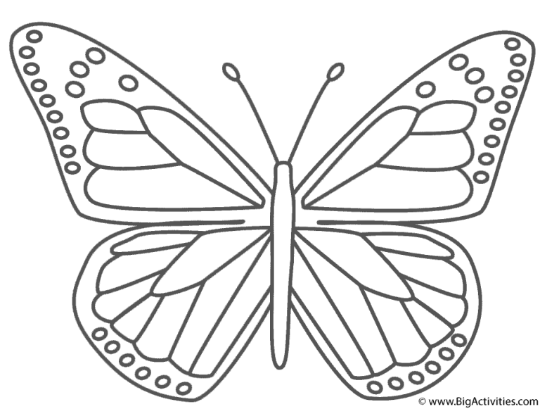 Monarch Butterfly Coloring Pages