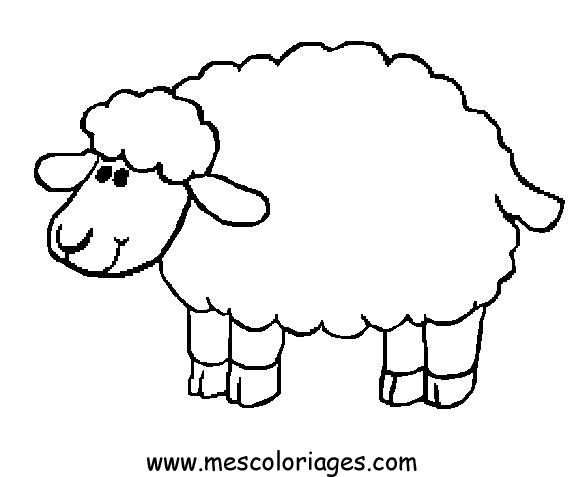 Sheep Coloring Page