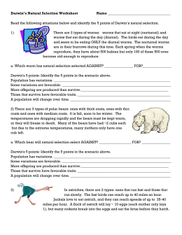 Natural Selection Worksheet