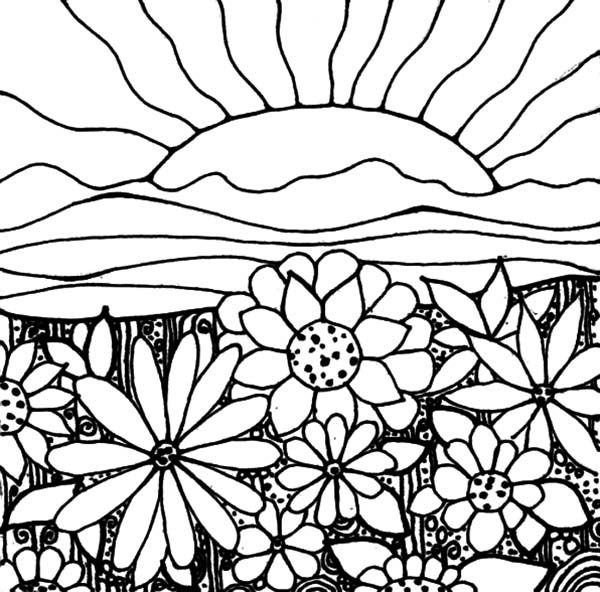 Sunset Coloring Pages