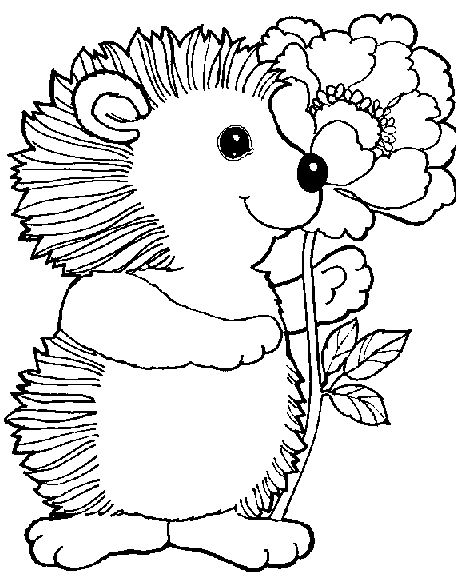 Hedgehog Coloring Page