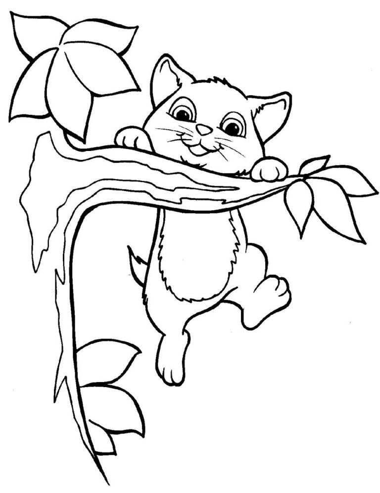 Kitten Pictures To Color