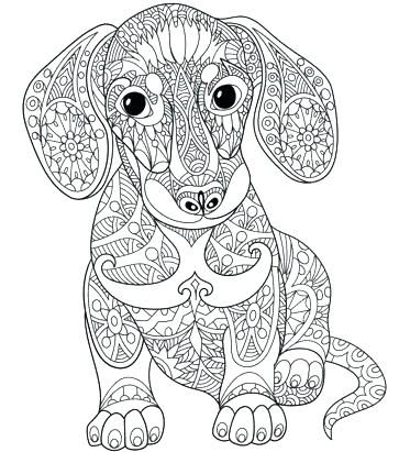 Animal Mandala Coloring Pages