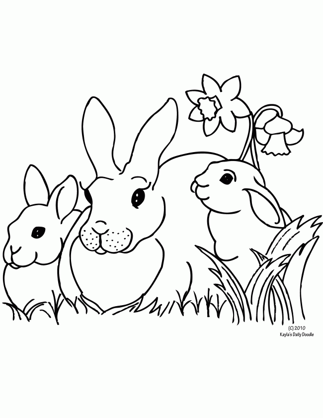 Rabbit Coloring Pages