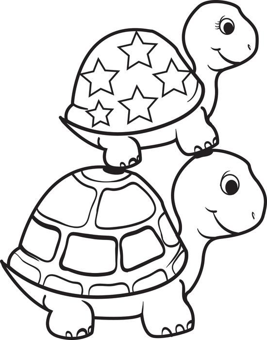 Turtle Coloring