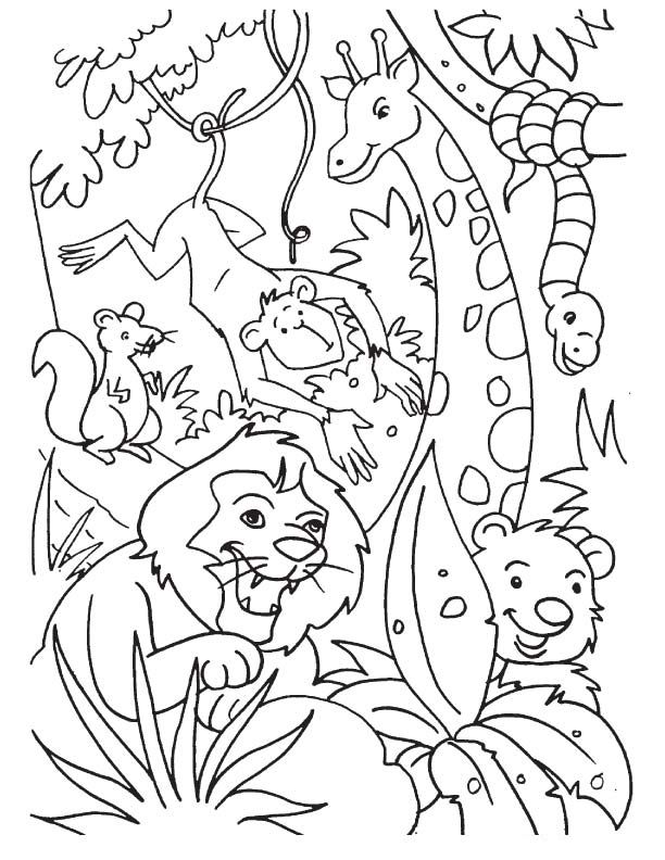 Safari Coloring Pages