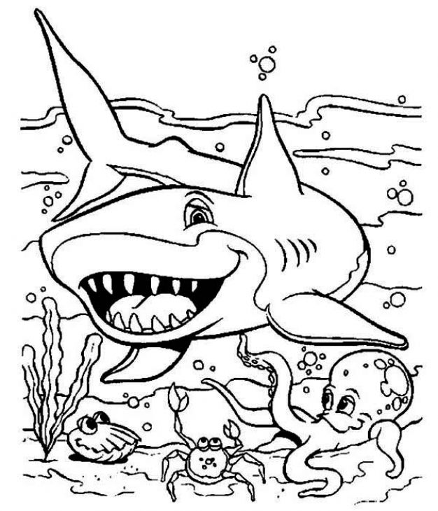 Shark Coloring Pages