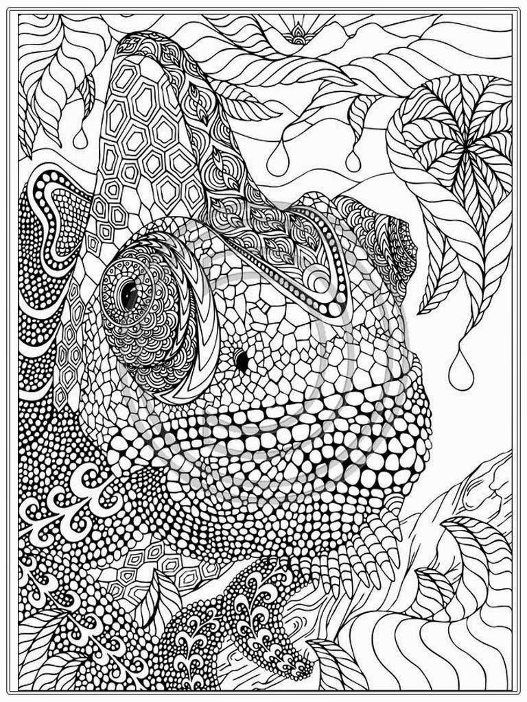 Detailed Coloring Pages