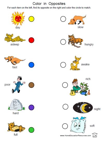 Opposites Worksheets