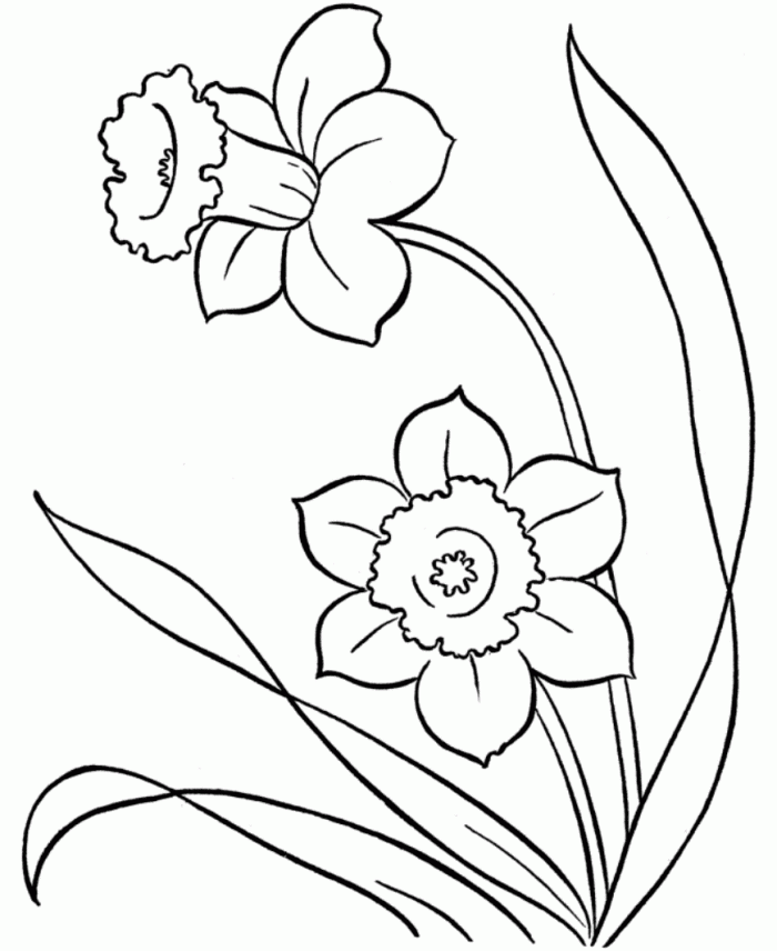 Spring Flower Coloring Pages