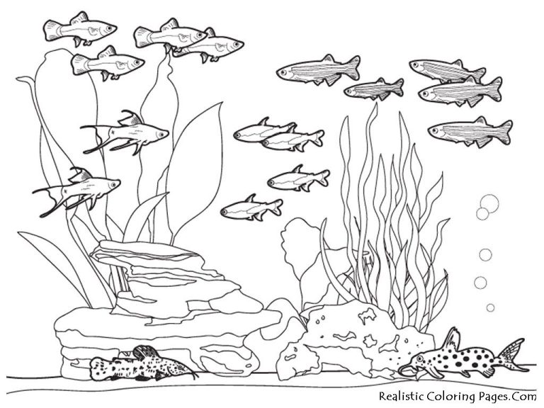 Sea Coloring Pages