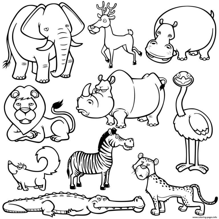 Animals Colouring