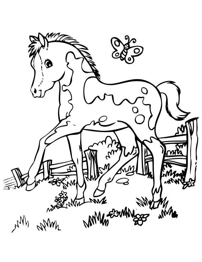 Horse Colouring In