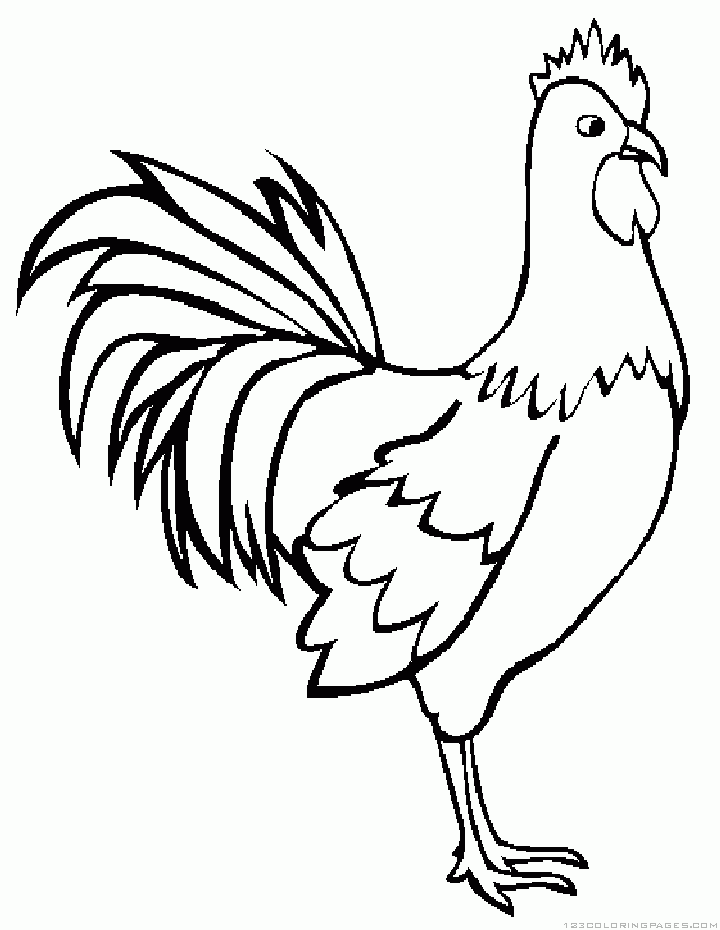 Rooster Coloring Page