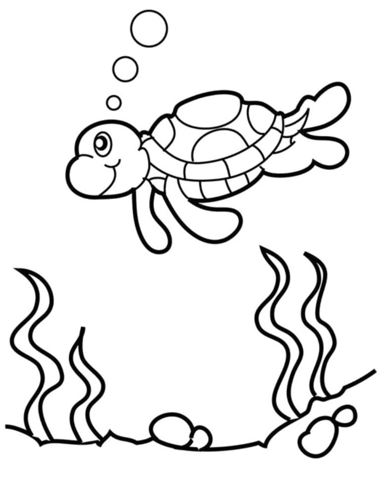 Turtle Coloring Pages