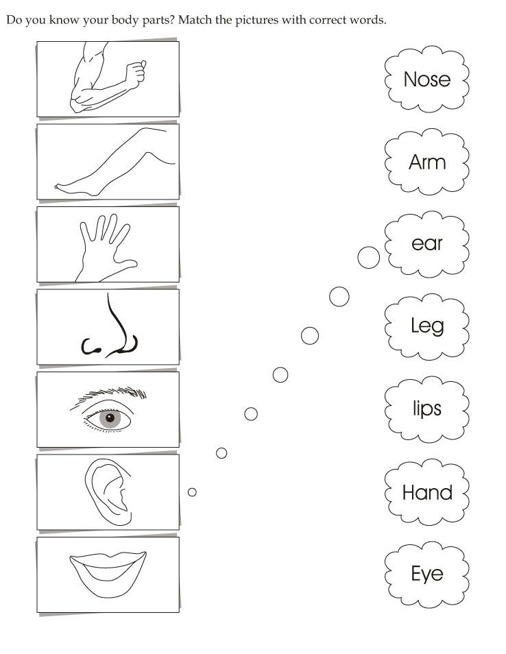 Activity Worksheets