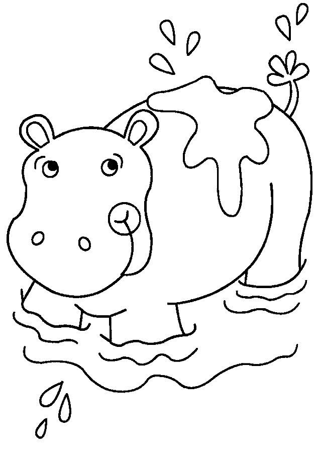 Hippo Coloring Pages