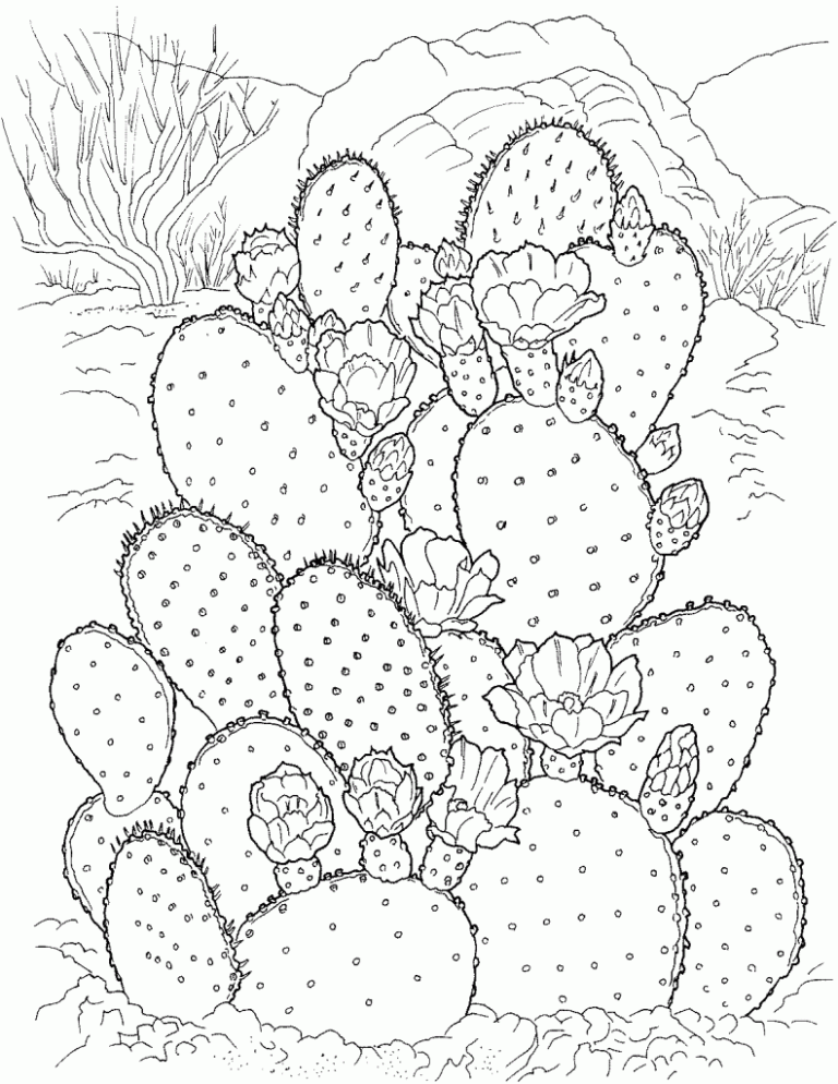 Cactus Coloring Pages