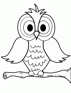 Owl Coloring Pages