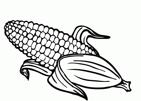 Corn Coloring Page