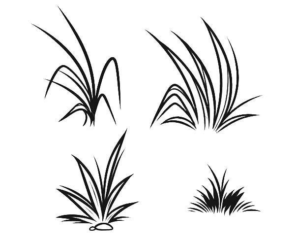 Grass Coloring Page