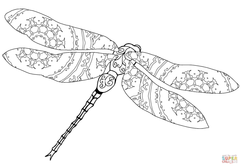 Dragonfly Coloring Page