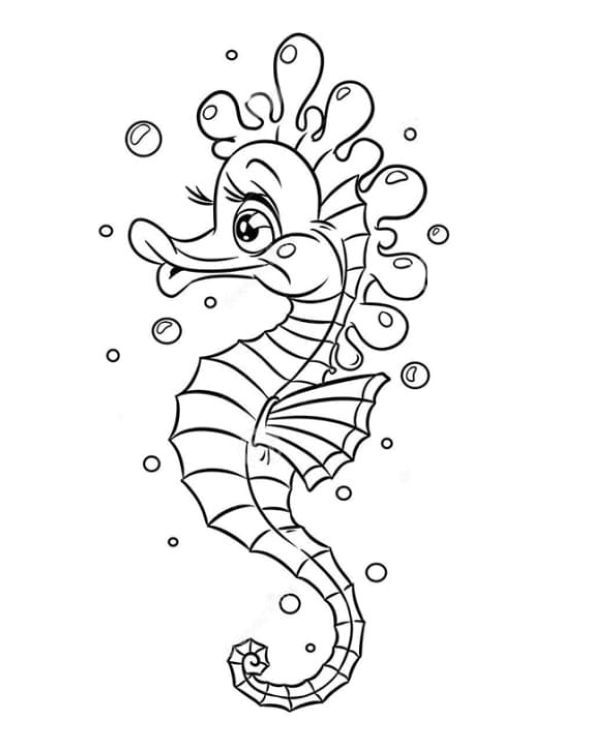 Seahorse Coloring Page