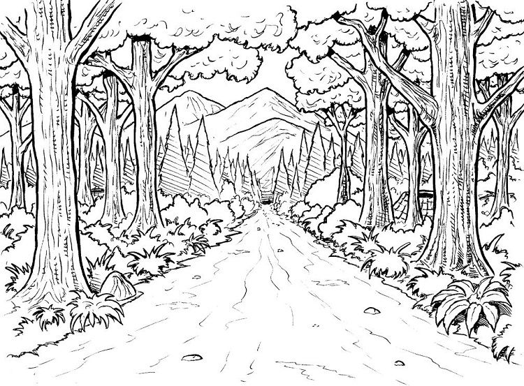 Nature Coloring Pages