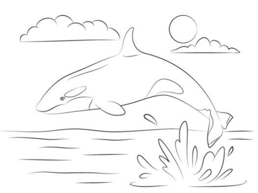 Whale Coloring Pages